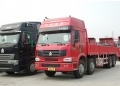 Caminhão de carga de 290 ps® de SINOTRUK HOWO 8X4, caminhão camião